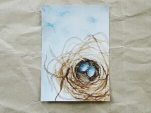 Luxury postcard - Nest with blue eggs