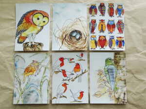 6 Luxury Postcards A5 - Birds set