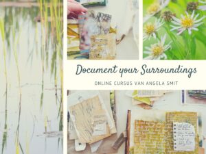 Online Courses and In-person Workshops