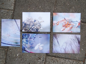 5 Luxury Postcards A5 - Withering Wonders set