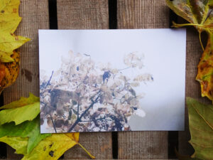 Luxury Postcard - Withering Wonders 05