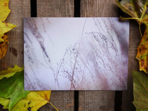 Luxury Postcard - Withering Wonders 04