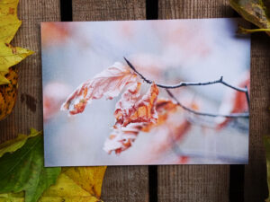 Luxury Postcard - Withering Wonders 03