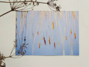 Luxury Postcard - Wonderful Water 02