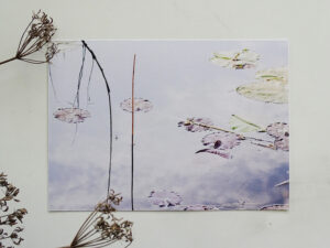 Luxury Postcard - Wonderful Water 03