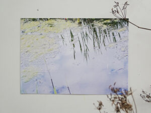 Luxury Postcard - Wonderful Water 04